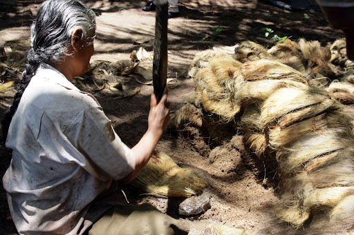 Coir Industry in Sri Lanka